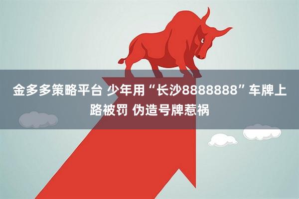 金多多策略平台 少年用“长沙8888888”车牌上路被罚 伪造号牌惹祸